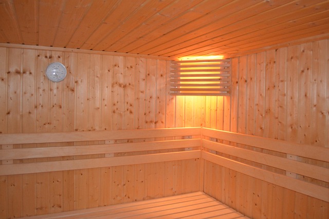 infared sauna